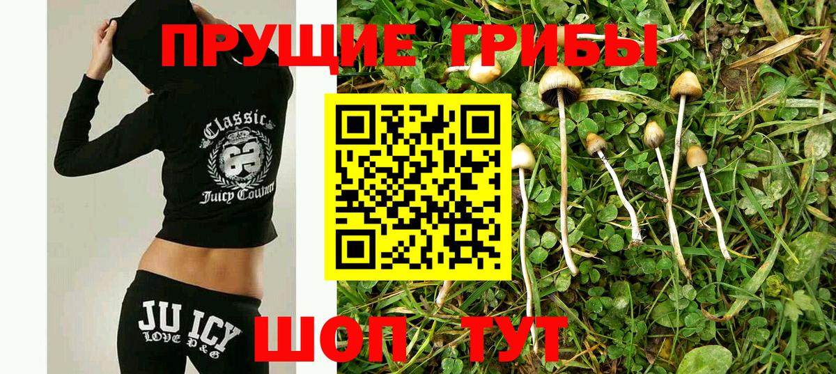 Галлюциногенные грибы MAGIC MUSHROOMS  где найти наркотики  Вход с VPN  Иркутск  Галлюциногенные грибы мицелий 